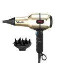 Sèche Cheveux Professionnel DSP - 1600 W - Doré